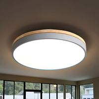 Nordic LED Ronde Plafondlamp van Acryl Minimalistisch