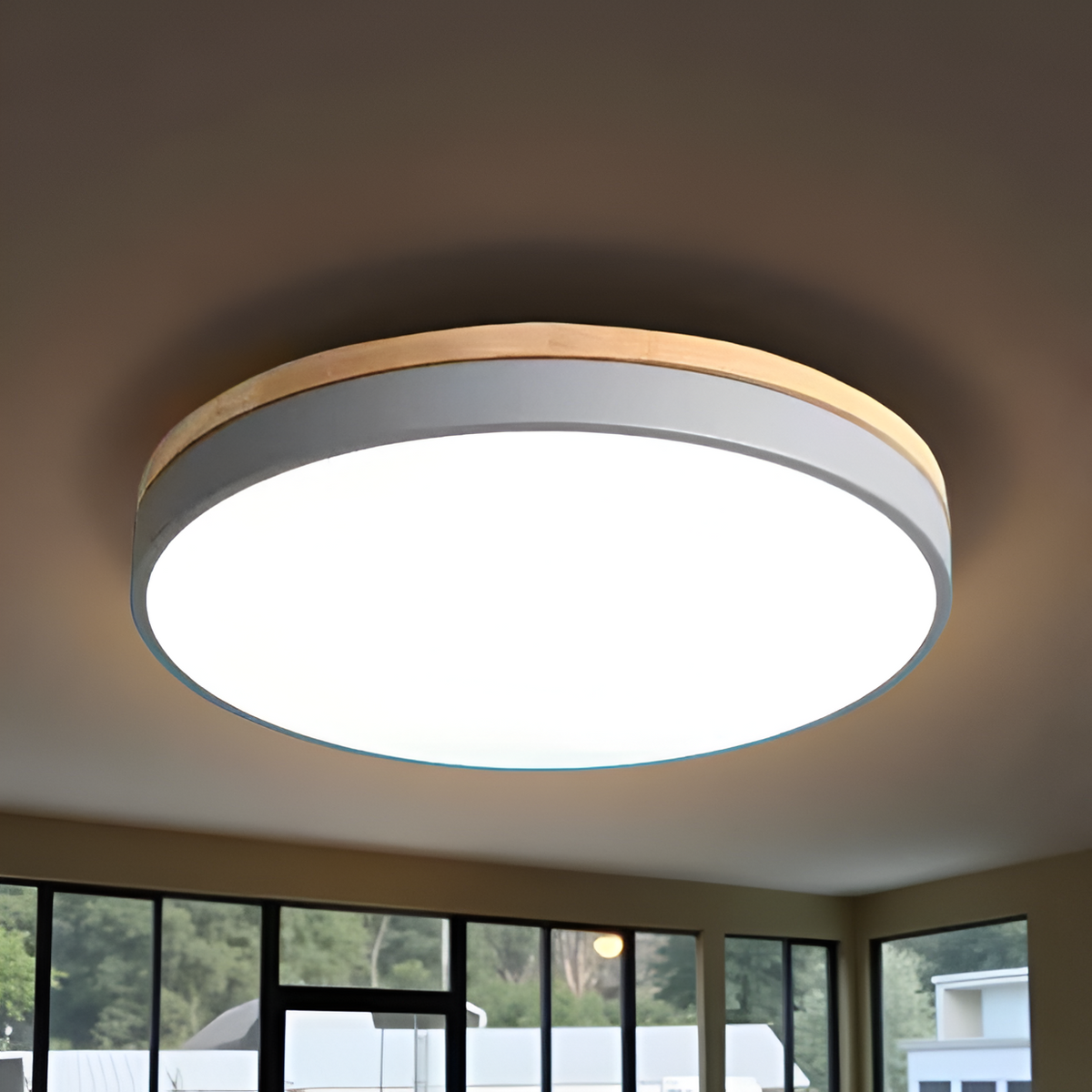 Nordic LED Ronde Plafondlamp van Acryl Minimalistisch