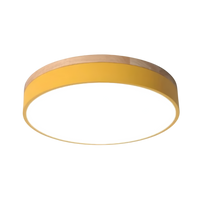 Nordic LED Ronde Plafondlamp van Acryl Minimalistisch