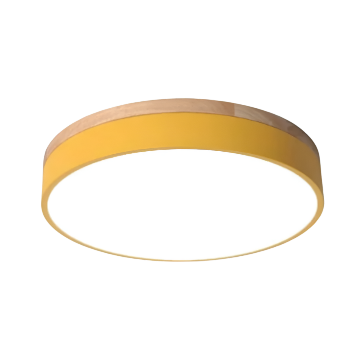 Nordic LED Ronde Plafondlamp van Acryl Minimalistisch