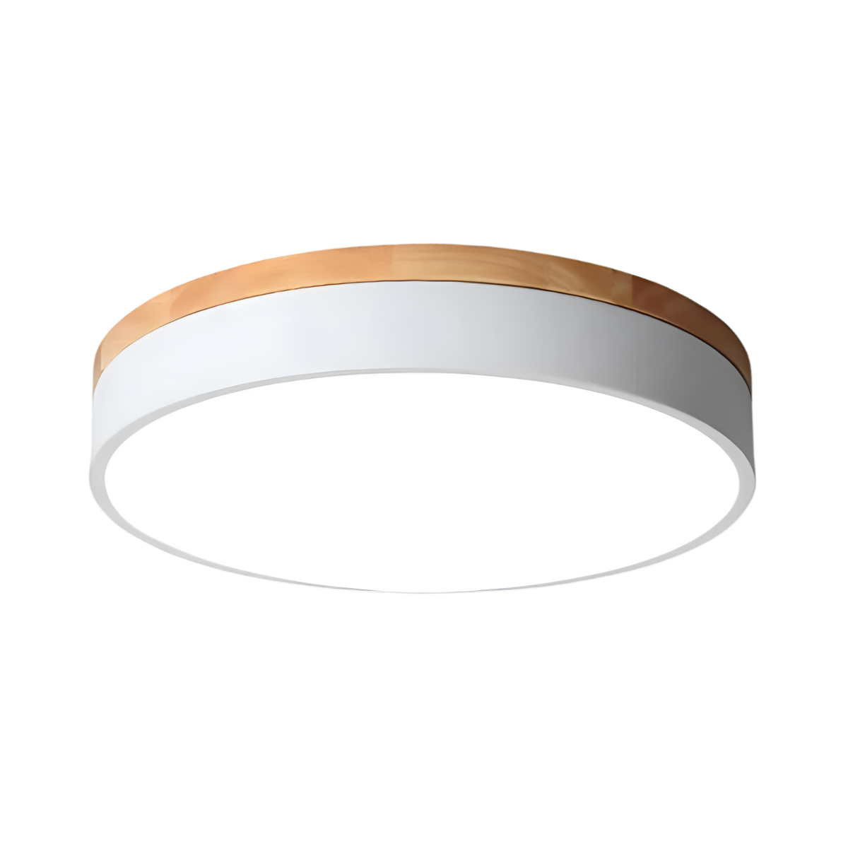 Nordic LED Ronde Plafondlamp van Acryl Minimalistisch