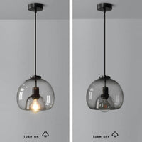 Minimalistische Rookglas Koepel Hanglamp 1-lamp