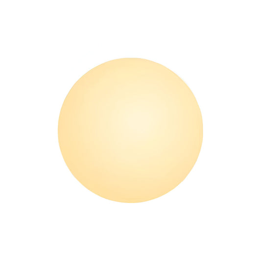 Minimalistische Ronde Glazen Wandlamp LED 1-Licht