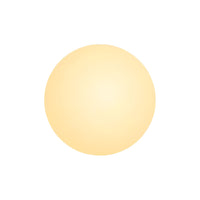 Dioscuri Minimalistische Ronde Glazen Wandlamp