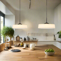 Dama Radiance Minimalistische Metalen Hanglamp