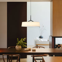 Dama Radiance Minimalistische Metalen Hanglamp