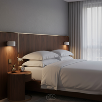 Draadloze Plakkende Wandlamp