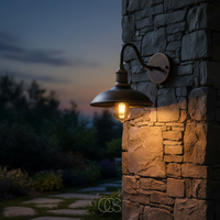 Vintage buiten wandlamp