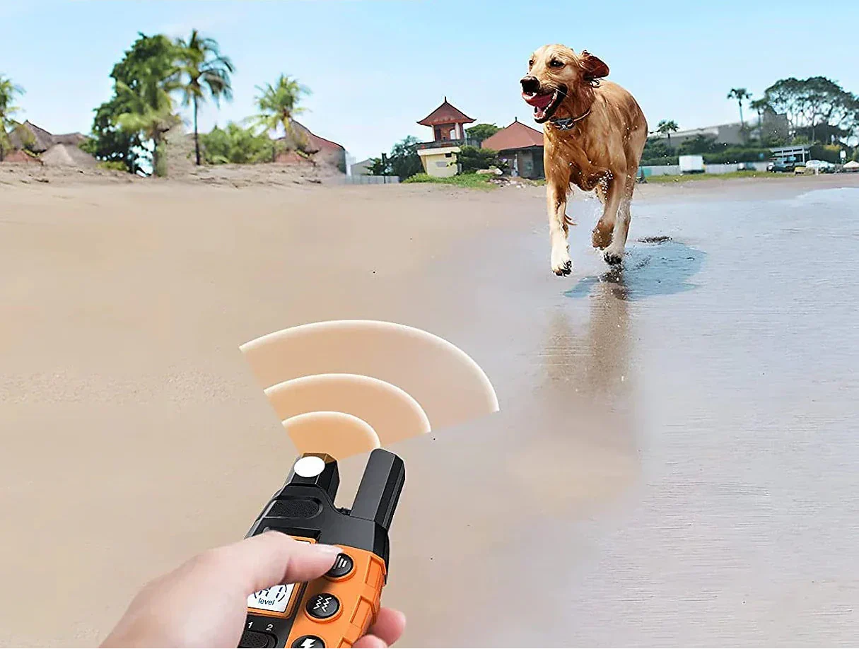 NovaPace Waterdichte Halsband Met 1000m Afstandsbediening Voor Honden