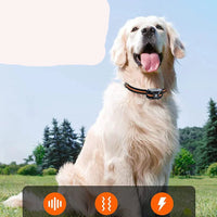 NovaPace Waterdichte Halsband Met 1000m Afstandsbediening Voor Honden