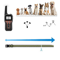 AquaStride Pro 1000m Trainingshalsband Waterdichte Hond