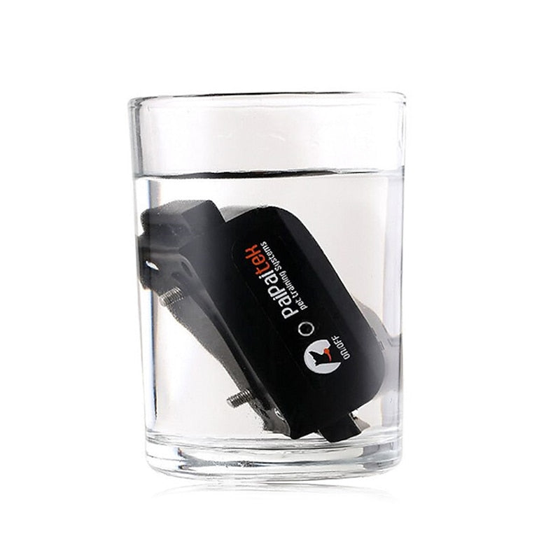 ZenRidge Waterdichte Trainingshalsband Voor Honden Tot 1000 Meter Oplaadbaar