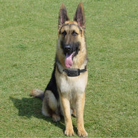 FidoFence Pro Draadloos Grens Systeem Voor Honden Met Halsband, 9–240 Meter