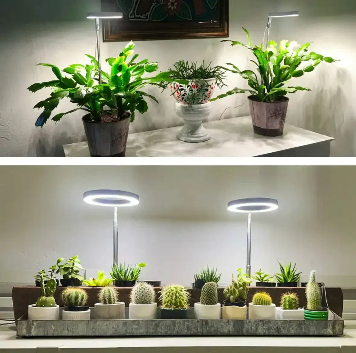 Plantenlamp | Volledig spectrum Groei Licht | Timer en Dimmfunctie | PlantGlow