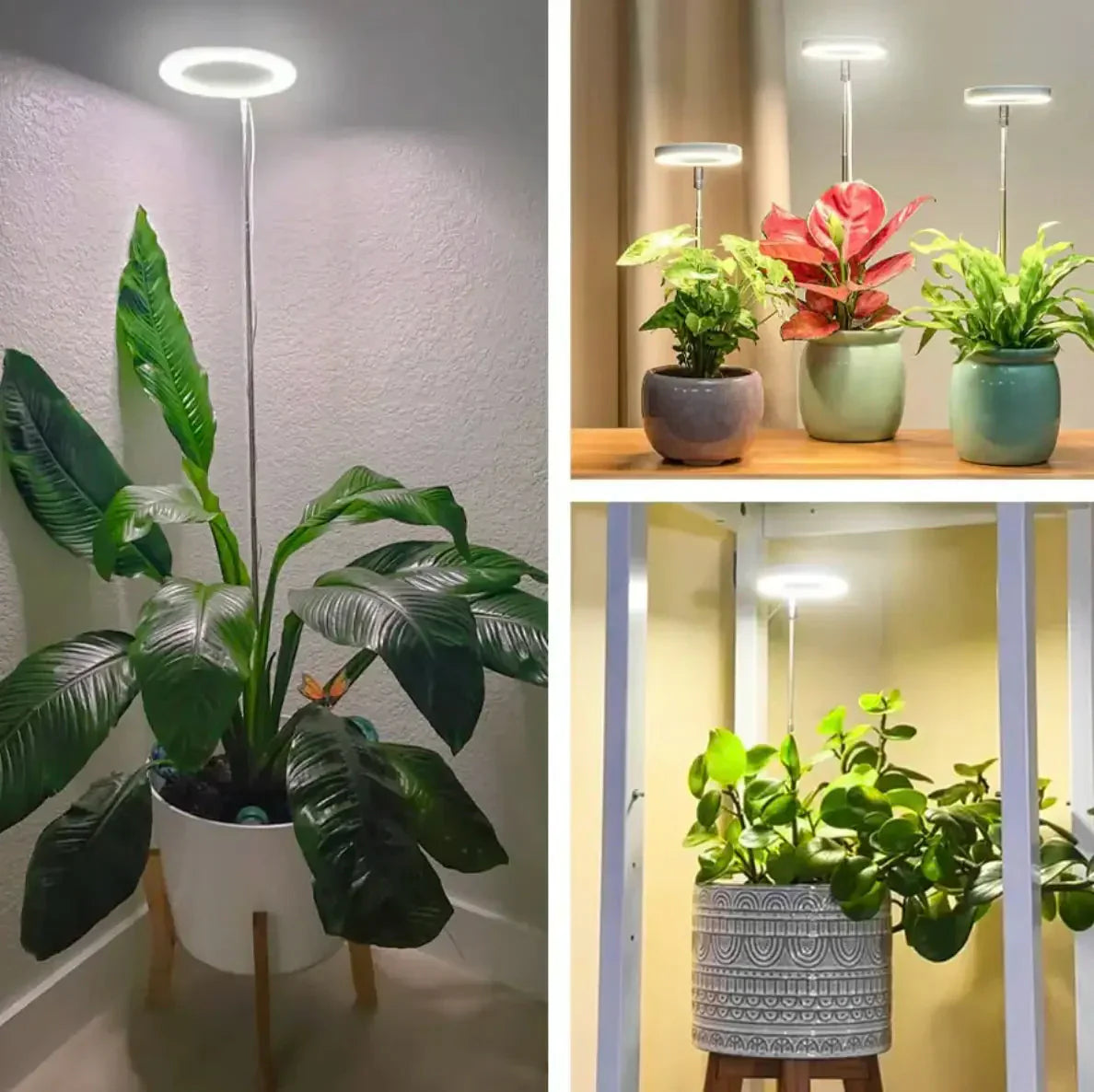 Plantenlamp | Volledig spectrum Groei Licht | Timer en Dimmfunctie | PlantGlow
