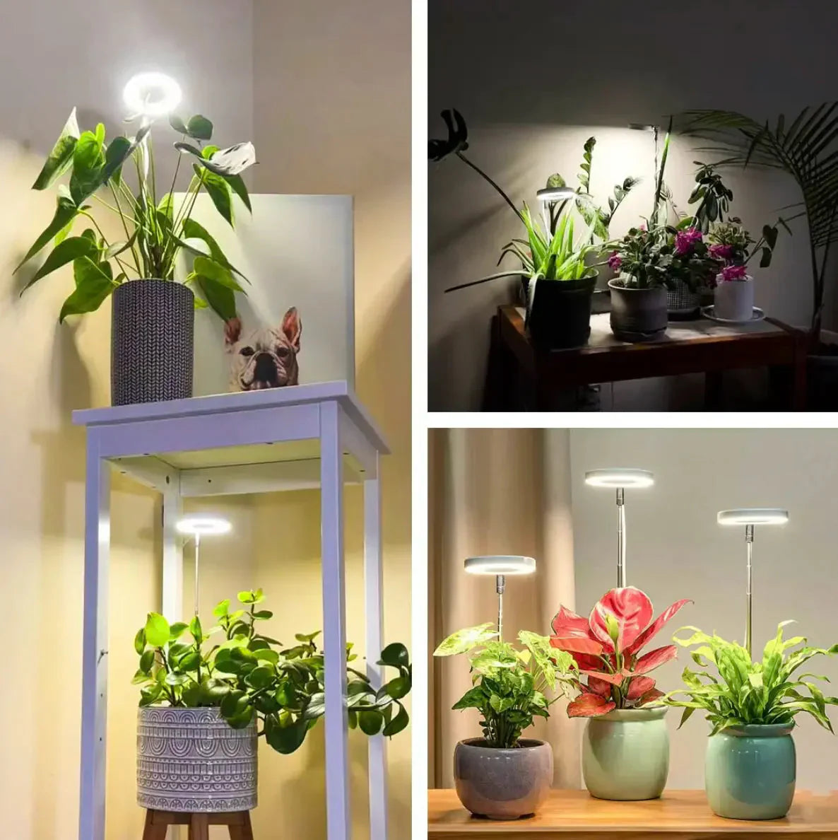 Plantenlamp | Volledig spectrum Groei Licht | Timer en Dimmfunctie | PlantGlow