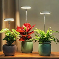 Plantenlamp | Volledig spectrum Groei Licht | Timer en Dimmfunctie | PlantGlow