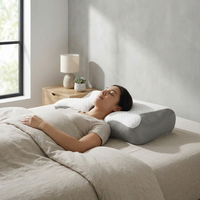 Canvarin – Ergonomisch Orthopedisch Traagschuim Kussen 1kg