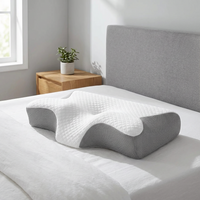 Canvarin – Ergonomisch Orthopedisch Traagschuim Kussen 1kg