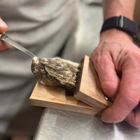 Premium houten handvat oesterschelpopener klem