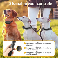ProTrain – Oplaadbare waterdichte hondentrainingshalsband