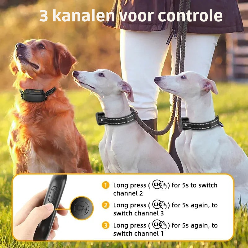ProTrain – Oplaadbare waterdichte hondentrainingshalsband