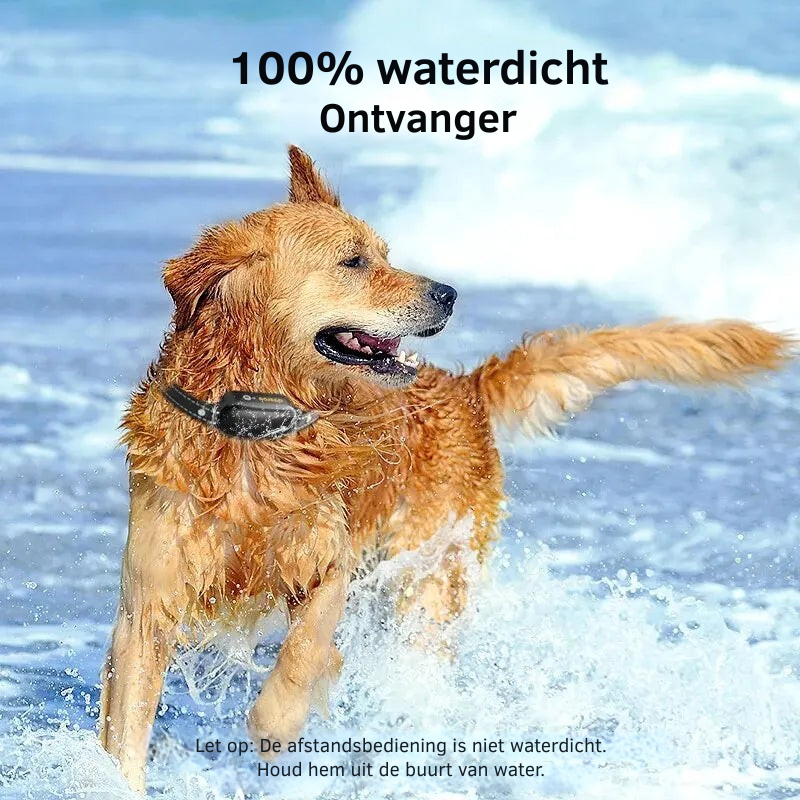 ProTrain – Oplaadbare waterdichte hondentrainingshalsband
