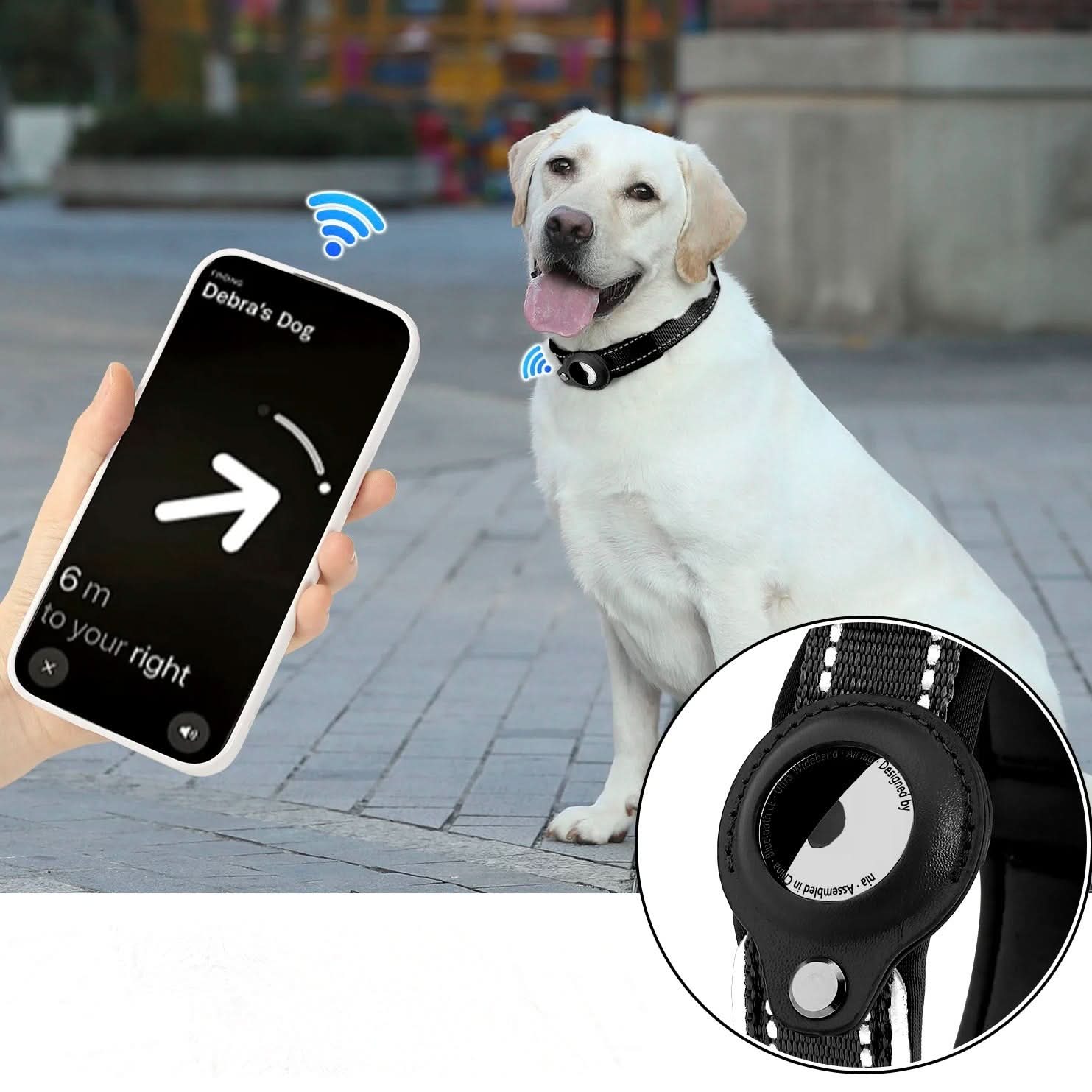 LEAZO - Locatietag Hondhalsband