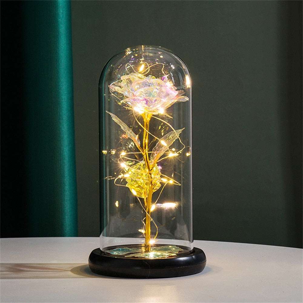 Perpetuele Rozen Dome Licht