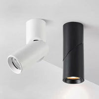 Luminexis - Verstelbare LED Downlight Plafondspot