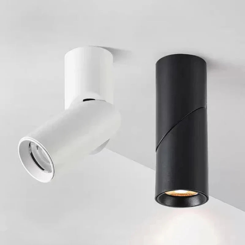 Luminexis - Verstelbare LED Downlight Plafondspot