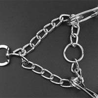 Hond Pincher Halsband - Stijl B