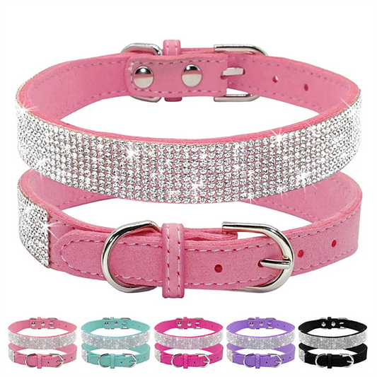 GlamourPaws Luxe Strass Hondenhalsband | Sprankelende met kristallen versierde halsband met een duurzame zinc alloy gesp, perfect voor kleine tot middelgrote honden en katten zoals Chihuahuas en Mopshonden.