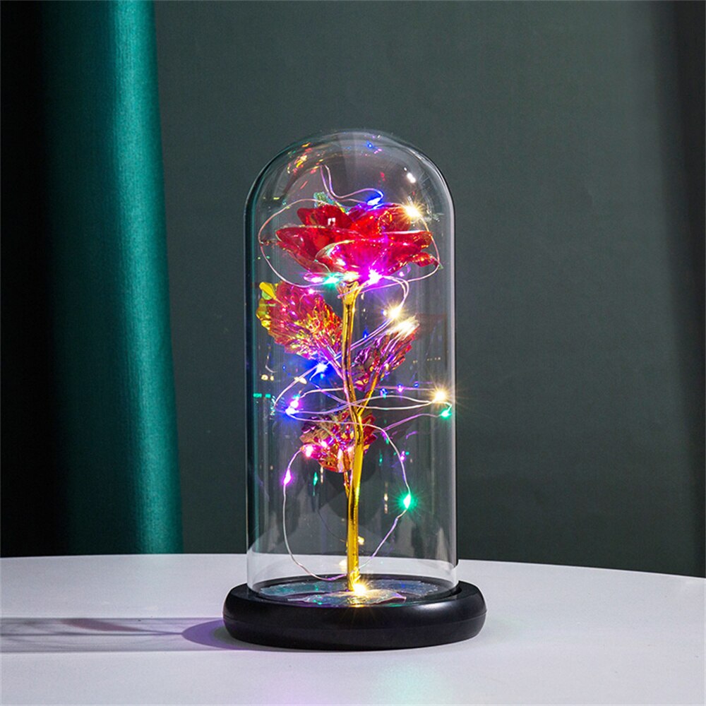 Perpetuele Rozen Dome Licht