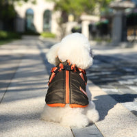 VivaPet Wintervest | Waterdichte hondenmantel met tuig voor chihuahua, yorkie en andere kleine honden