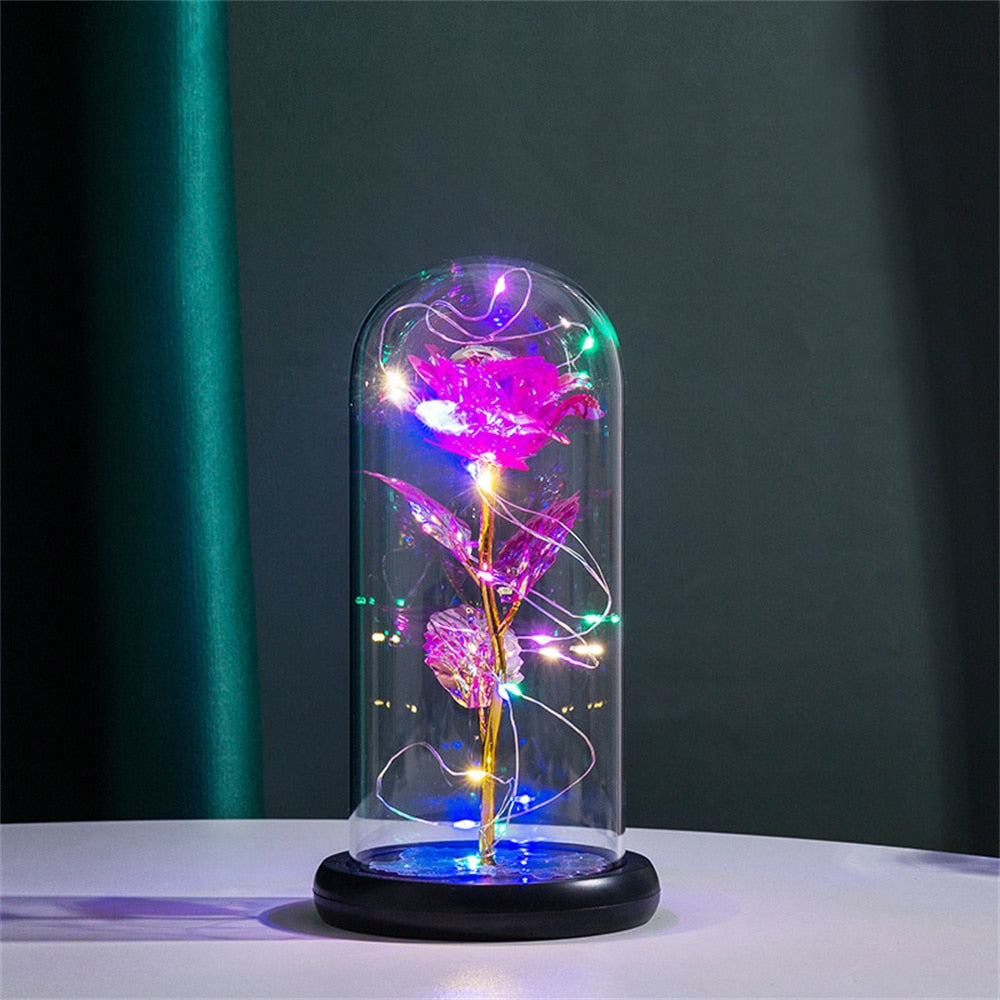Perpetuele Rozen Dome Licht