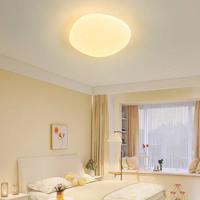 LED Plafondlamp Organische Natuurlijke Steen Vorm
