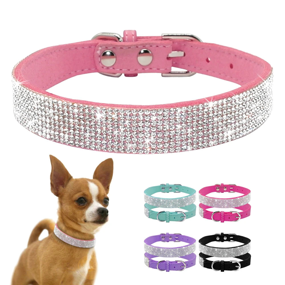 GlamourPaws Luxe Strass Hondenhalsband | Sprankelende met kristallen versierde halsband met een duurzame zinc alloy gesp, perfect voor kleine tot middelgrote honden en katten zoals Chihuahuas en Mopshonden.