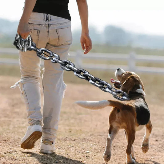 ChainLeash | De riem die mode en functie combineert
