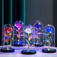Perpetuele Rozen Dome Licht