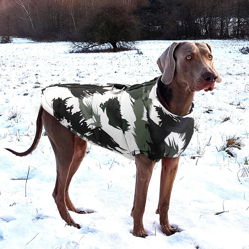 PawElite Luxe Winterjas | Stijlvolle winterjas voor honden zoals de Golden Retriever