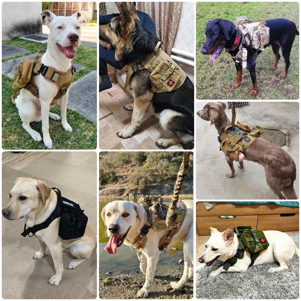TacticalElite K9 Harness and Leash Set | Military dog harness for large dogs with leash for training