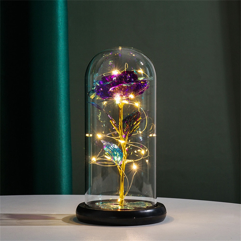 Perpetuele Rozen Dome Licht