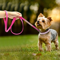 GlamourPaws Luxe Strass Hondenhalsband | Sprankelende met kristallen versierde halsband met een duurzame zinc alloy gesp, perfect voor kleine tot middelgrote honden en katten zoals Chihuahuas en Mopshonden.