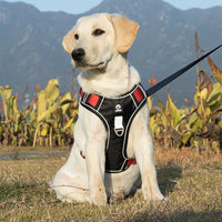 LuxPaw | Reflecterend no-pull harnas met superieur comfort en ademend vermogen