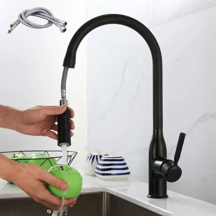 Skanto | PureFlow - Keukenkraan met Uittrekbare Handdouche