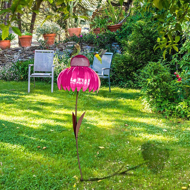 Coneflower Vogelvoeder