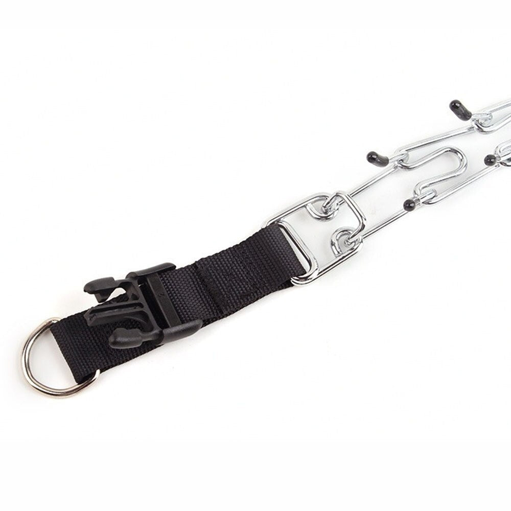 Hond Pincher Halsband - Stijl C