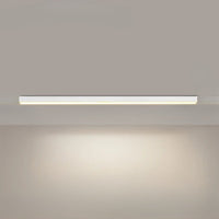 Lumina Moderne Plafondlamp Voor Balkons En Restaurants
