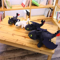 RoofRover | Voor een dagelijkse glimlach op de weg